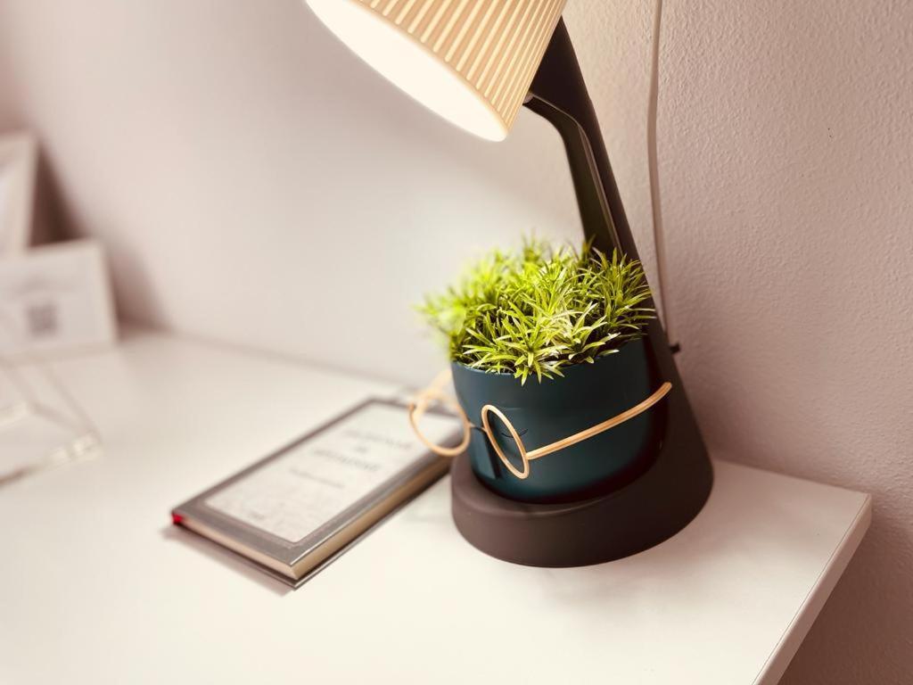 White Moon Apartment ブラショフ エクステリア 写真